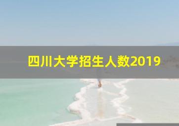 四川大学招生人数2019