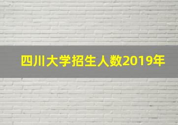 四川大学招生人数2019年