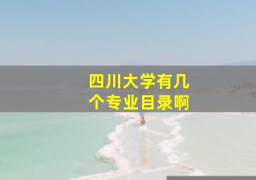 四川大学有几个专业目录啊