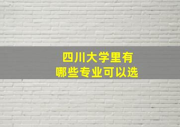 四川大学里有哪些专业可以选