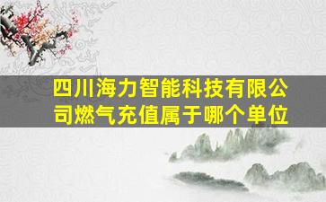 四川海力智能科技有限公司燃气充值属于哪个单位