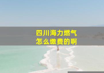 四川海力燃气怎么缴费的啊