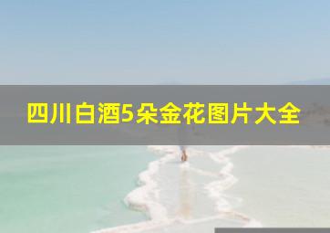 四川白酒5朵金花图片大全