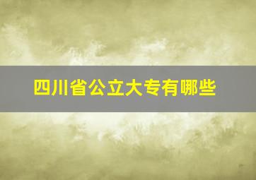 四川省公立大专有哪些