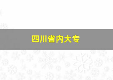 四川省内大专