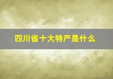 四川省十大特产是什么