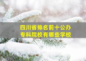 四川省排名前十公办专科院校有哪些学校