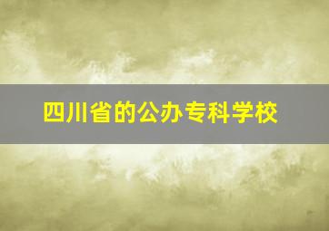 四川省的公办专科学校