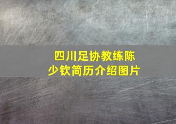 四川足协教练陈少钦简历介绍图片