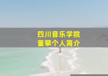 四川音乐学院董攀个人简介