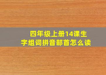 四年级上册14课生字组词拼音部首怎么读