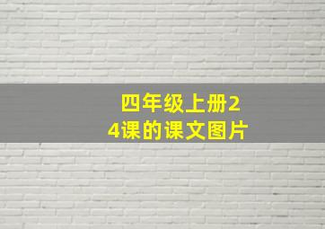 四年级上册24课的课文图片