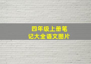 四年级上册笔记大全语文图片