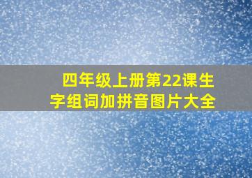 四年级上册第22课生字组词加拼音图片大全