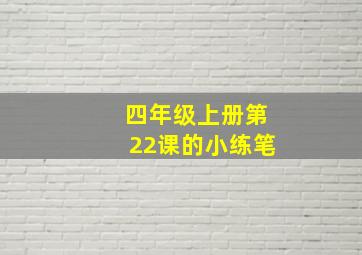 四年级上册第22课的小练笔