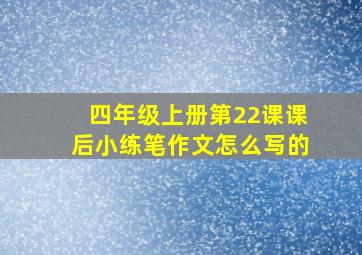 四年级上册第22课课后小练笔作文怎么写的