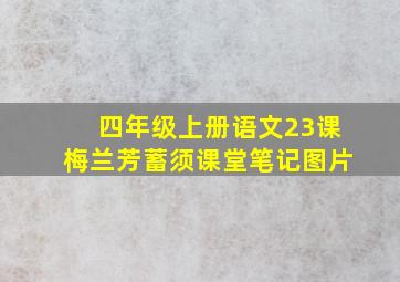 四年级上册语文23课梅兰芳蓄须课堂笔记图片