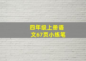 四年级上册语文67页小练笔