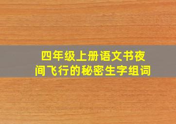 四年级上册语文书夜间飞行的秘密生字组词