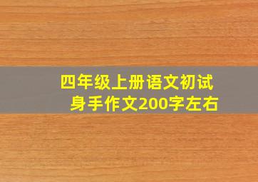 四年级上册语文初试身手作文200字左右