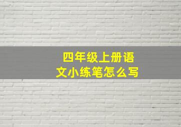 四年级上册语文小练笔怎么写