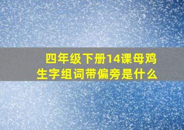 四年级下册14课母鸡生字组词带偏旁是什么