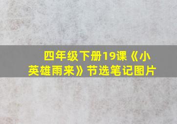 四年级下册19课《小英雄雨来》节选笔记图片