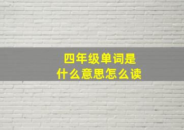 四年级单词是什么意思怎么读