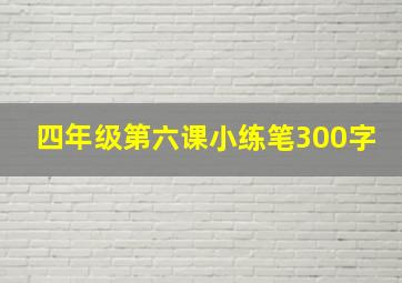 四年级第六课小练笔300字