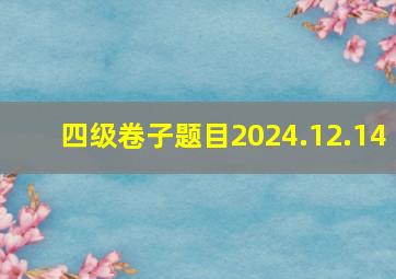 四级卷子题目2024.12.14