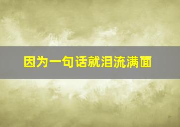 因为一句话就泪流满面