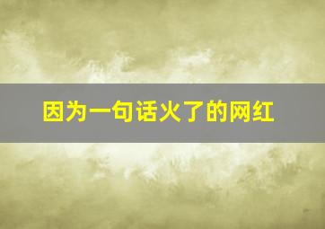 因为一句话火了的网红