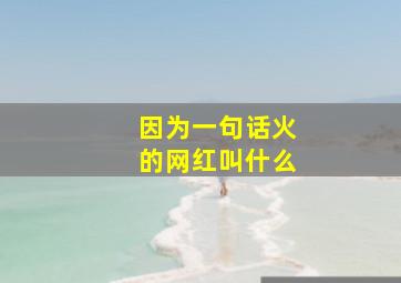 因为一句话火的网红叫什么