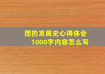 团的发展史心得体会1000字内容怎么写