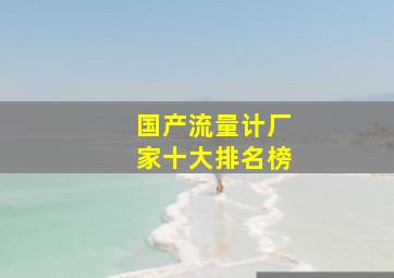 国产流量计厂家十大排名榜