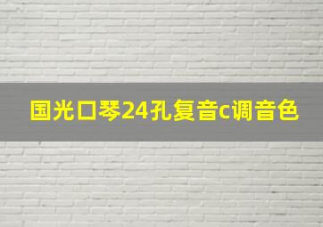 国光口琴24孔复音c调音色