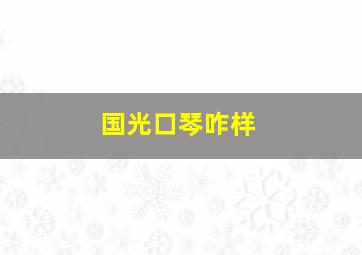 国光口琴咋样