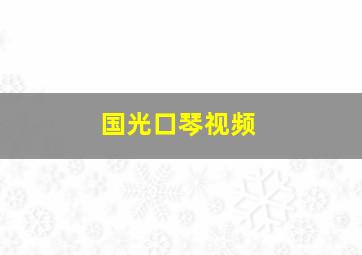 国光口琴视频