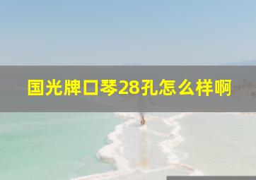 国光牌口琴28孔怎么样啊