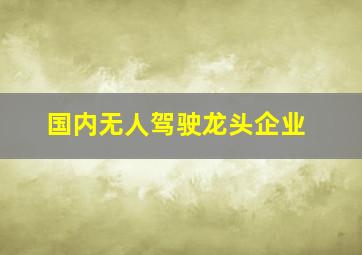 国内无人驾驶龙头企业