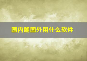 国内翻国外用什么软件