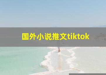 国外小说推文tiktok