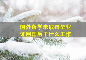 国外留学未取得毕业证回国后干什么工作