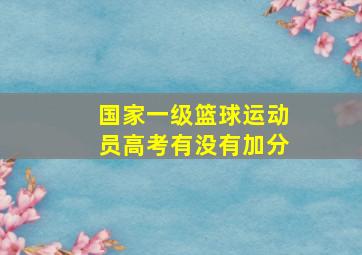 国家一级篮球运动员高考有没有加分