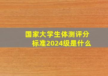 国家大学生体测评分标准2024级是什么