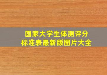 国家大学生体测评分标准表最新版图片大全