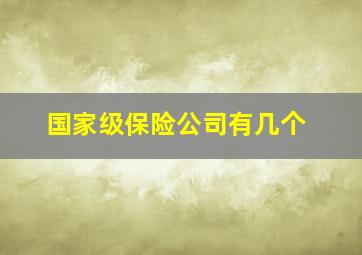 国家级保险公司有几个