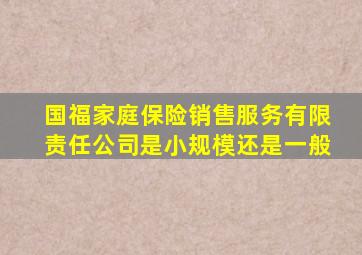 国福家庭保险销售服务有限责任公司是小规模还是一般