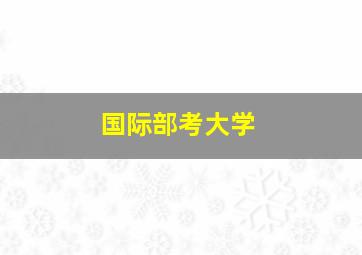 国际部考大学