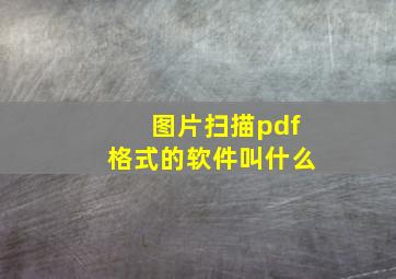 图片扫描pdf格式的软件叫什么